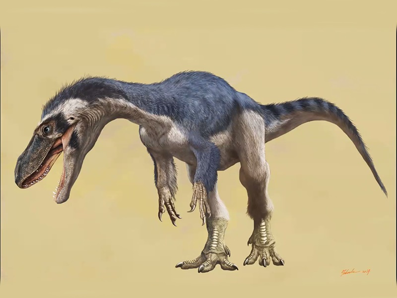 ティラノサウルスの想像図（小田隆氏）