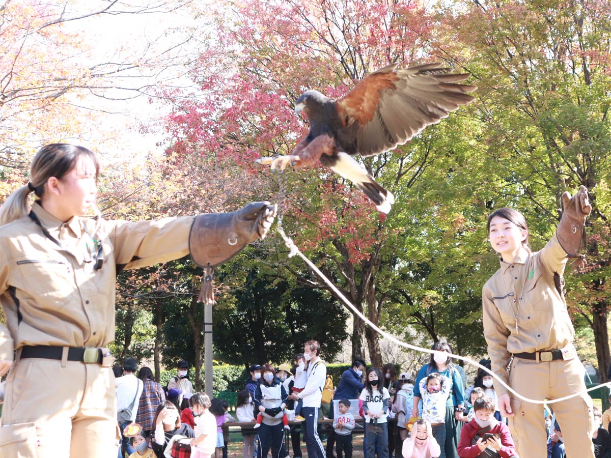 福岡市内の東公園で2年ぶりに開催　1700人の動員を記録した一大イベント