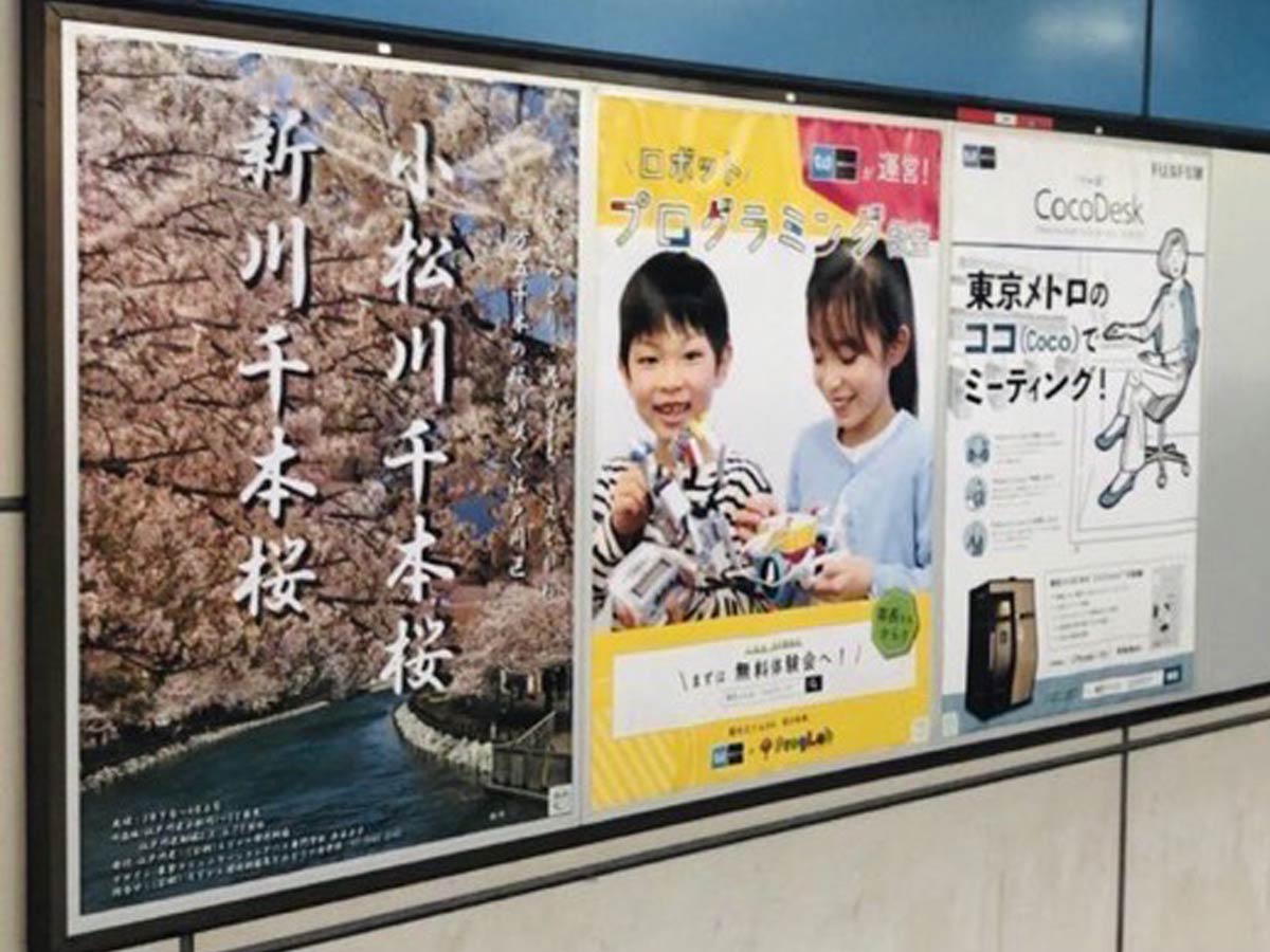 江戸川区の花の名所を紹介するポスターを学生が制作！見事採用に！
