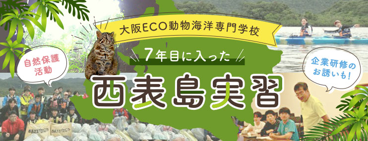 大阪ECO動物海洋専門学校の7年目に入った西表島実習　自然保護＋なんと！企業研修の呼びかけも