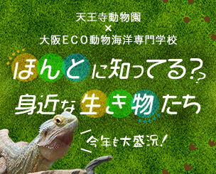 天王寺動物園と大阪ECO動物海洋専門学校が共催イベント「ほんとに知ってる？ 身近な生き物たち〜」今年も大盛況でした！