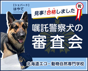嘱託警察犬の審査会で見事！合格しました　北海道エコ・動物自然専門学校