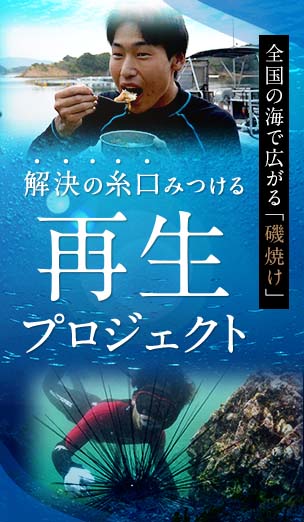 全国の海で広がる「磯焼け」 解決の糸口みつける再生プロジェクトが始まりました！ 大阪ECO動物海洋専門学校