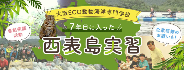 大阪ECO動物海洋専門学校の7年目に入った西表島実習　自然保護＋なんと！企業研修の呼びかけも