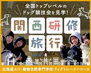 全国トップレベルのドッグ競技会を見学！　北海道エコ・動物自然専門学校ドッグトレーナーコースが関西研修旅行を実施しました